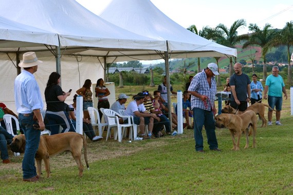 geral2