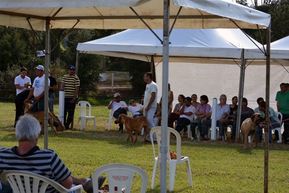 geral3