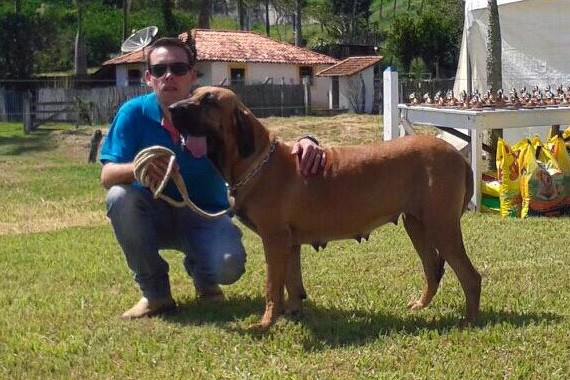 ztora