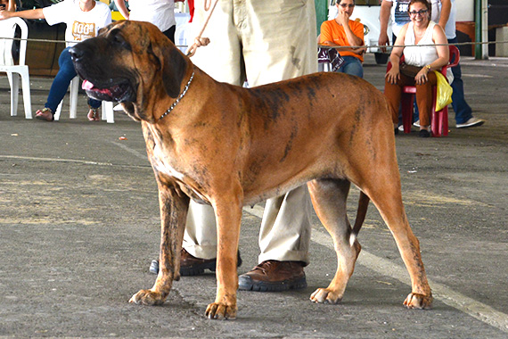 marabá iii da santa luzia