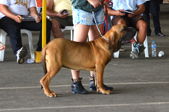 ucrânia do itanhandu