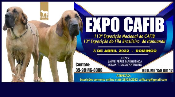 Canil Aguascalientes - Fila Brasileiro