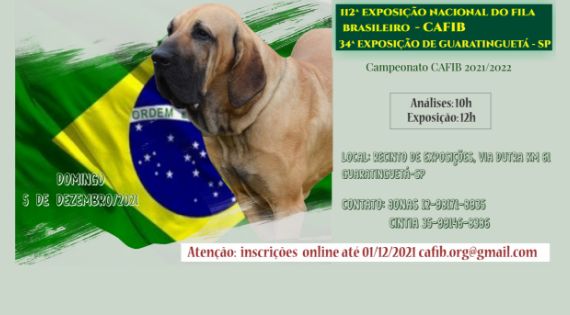 FILA BRASILEIRO  Kennel Clube de Florianópolis