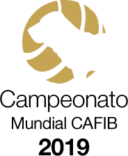 tl_files/cfb_images/cafib-camp2019.png