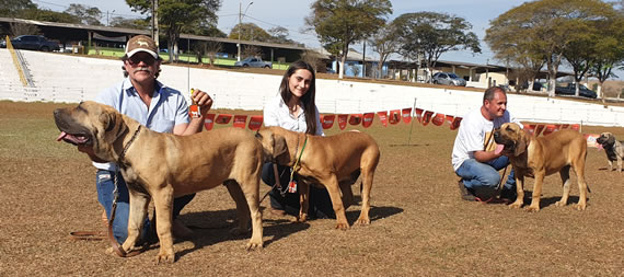 expo pará de minas