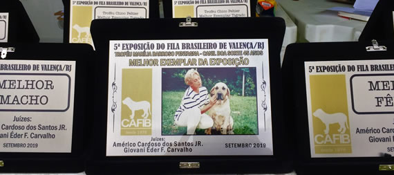 expo valença