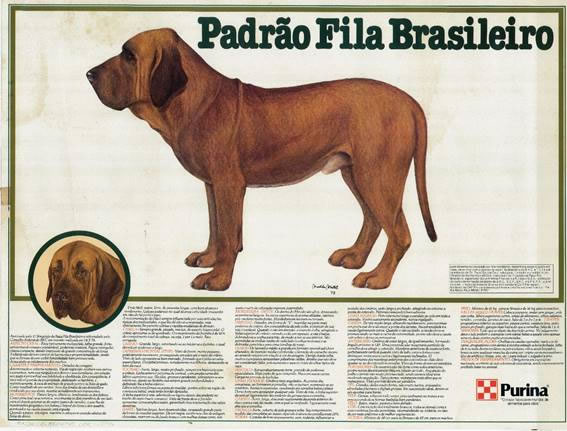 Cafib fila brasileiro sales breeders